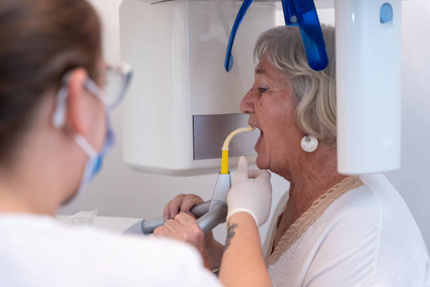 Best Emergency X-Rays and Diagnostics in Springtown, TX
