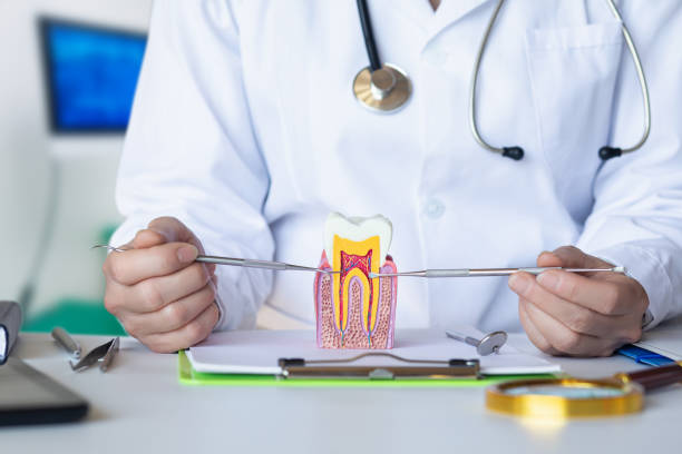 Best Knocked-Out Tooth (Avulsed Tooth) Treatment in Springtown, TX